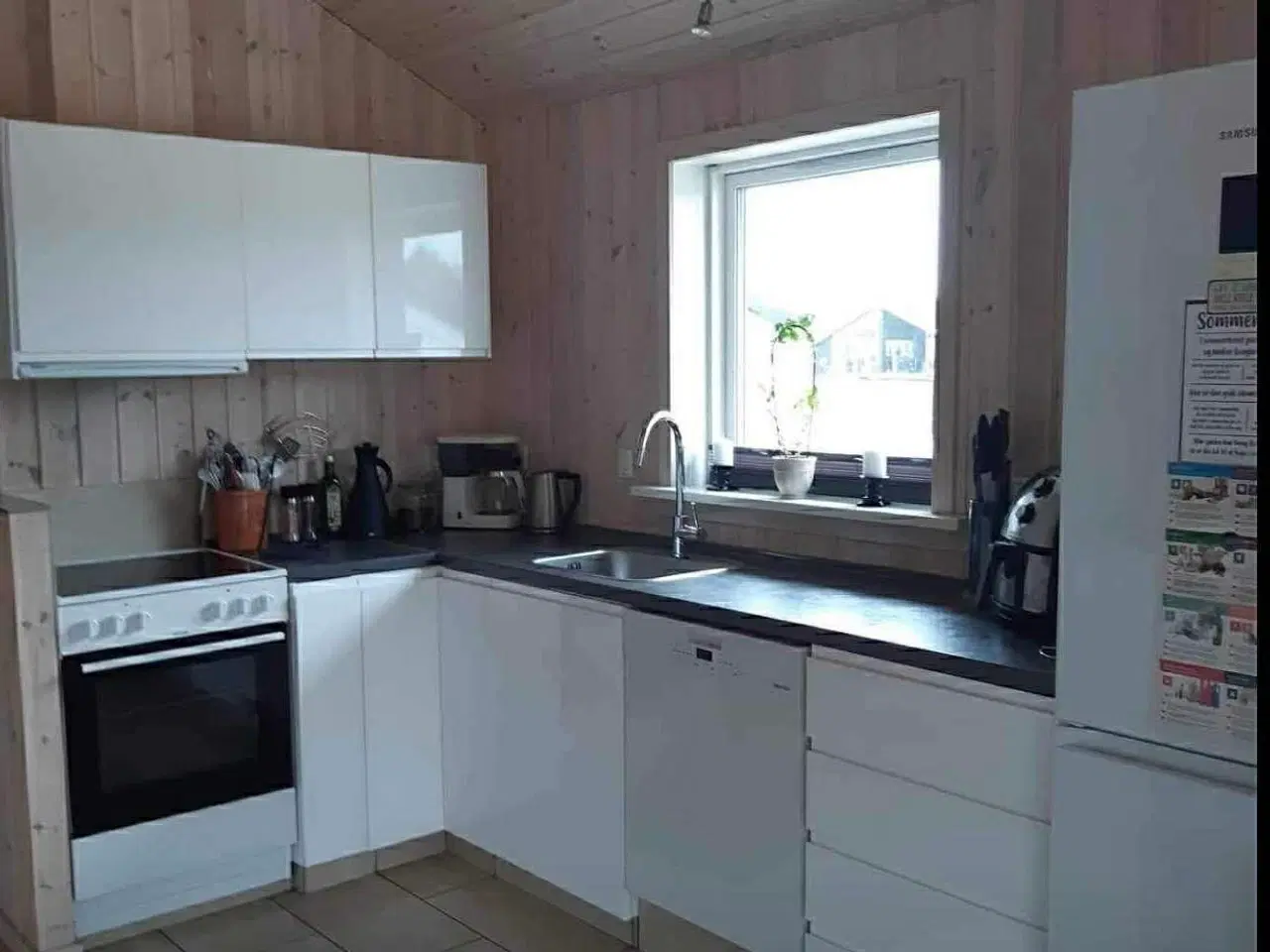 Billede 3 - Sommerhus udlejes …..hund tilladt