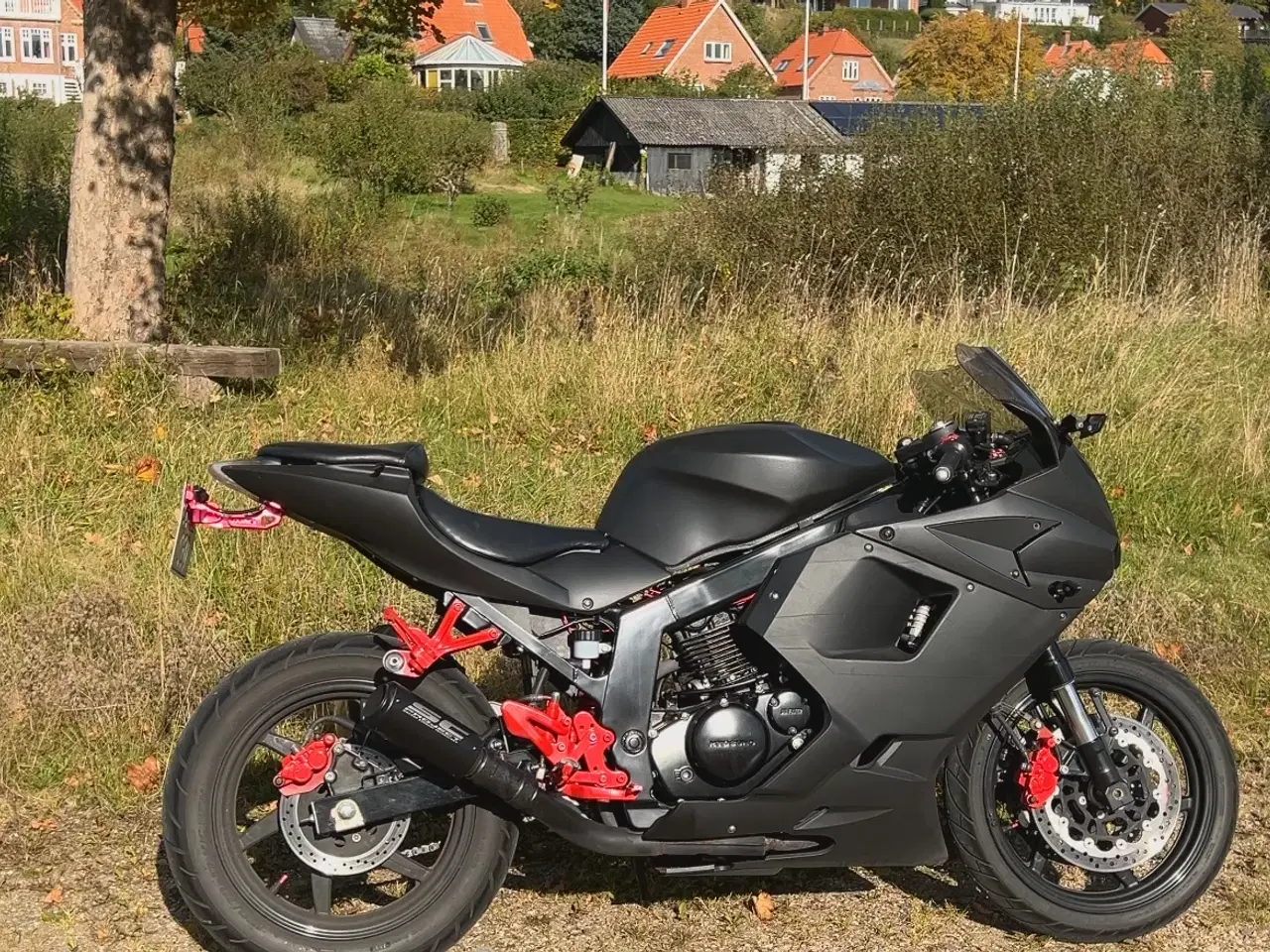 Billede 6 - GT R 250cc HyoSung