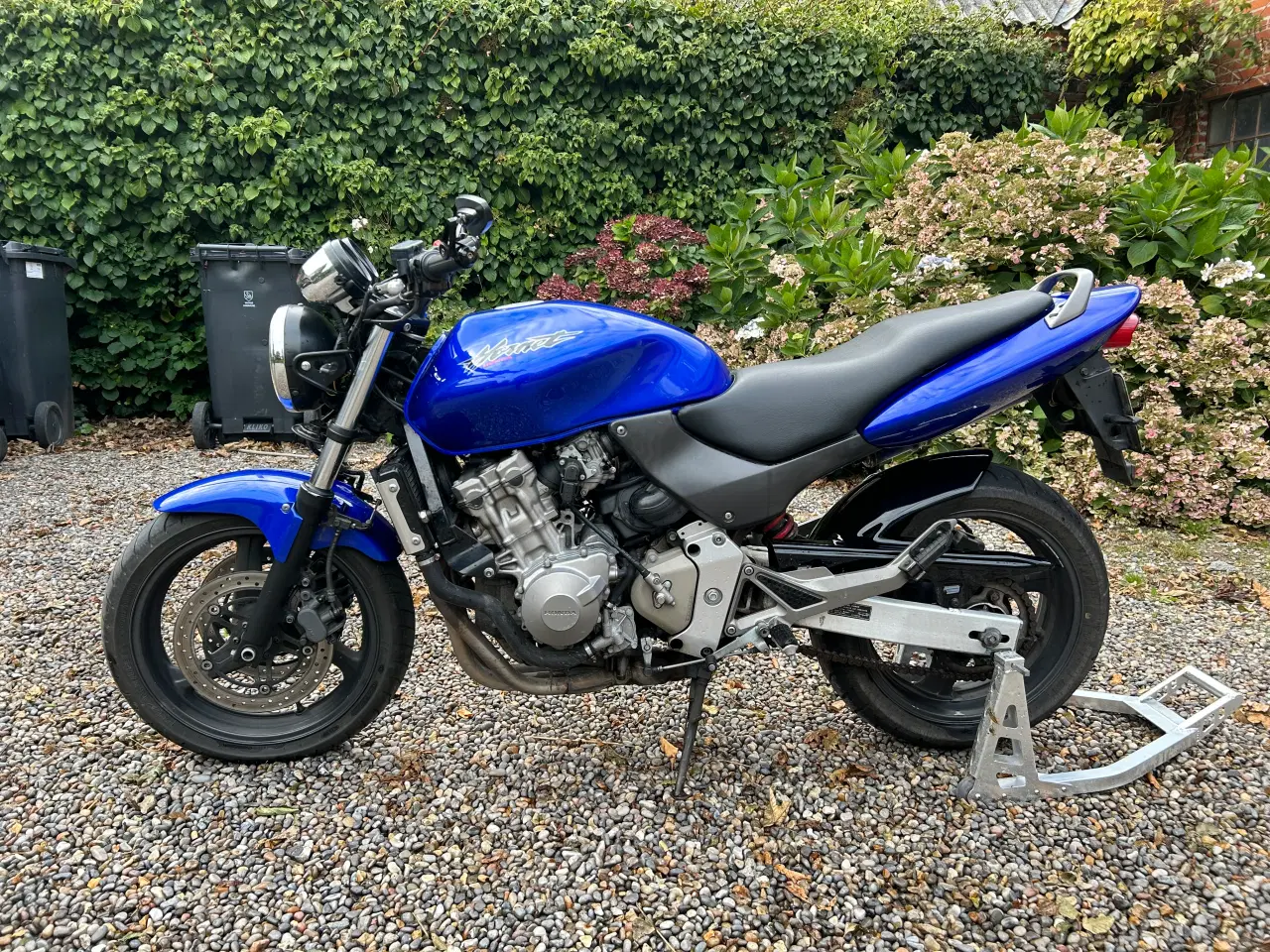 Billede 5 - Honda hornet 600