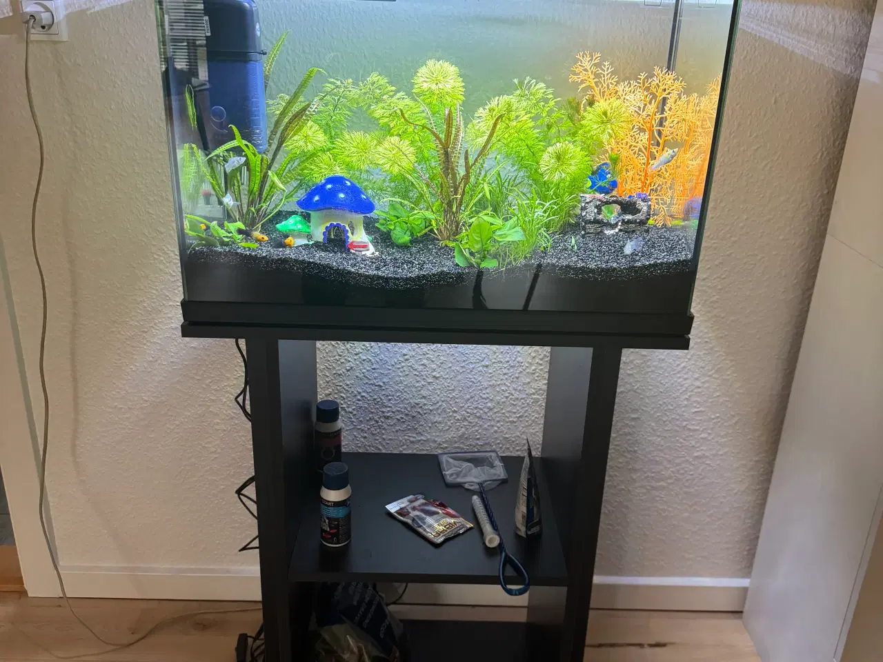 Billede 2 - Akvarie