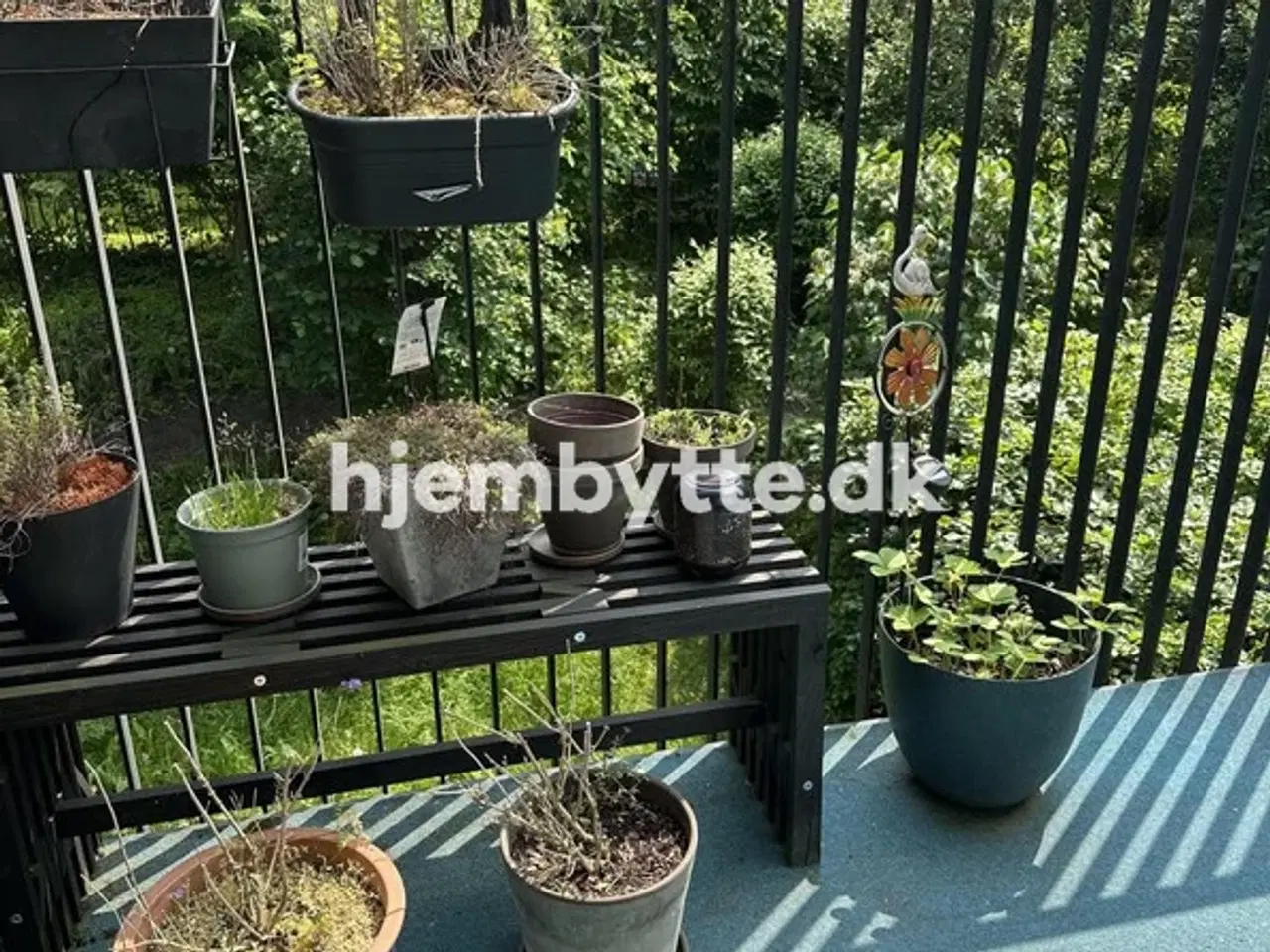 Billede 14 - Hjembytte - Emblasgade