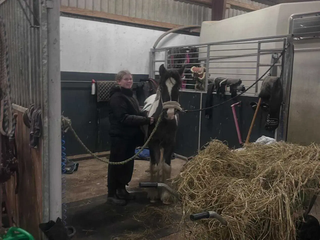 Billede 2 - OPLAGT BØRNEPONY ELLER RIDESKOLE EMNE!⭐⭐