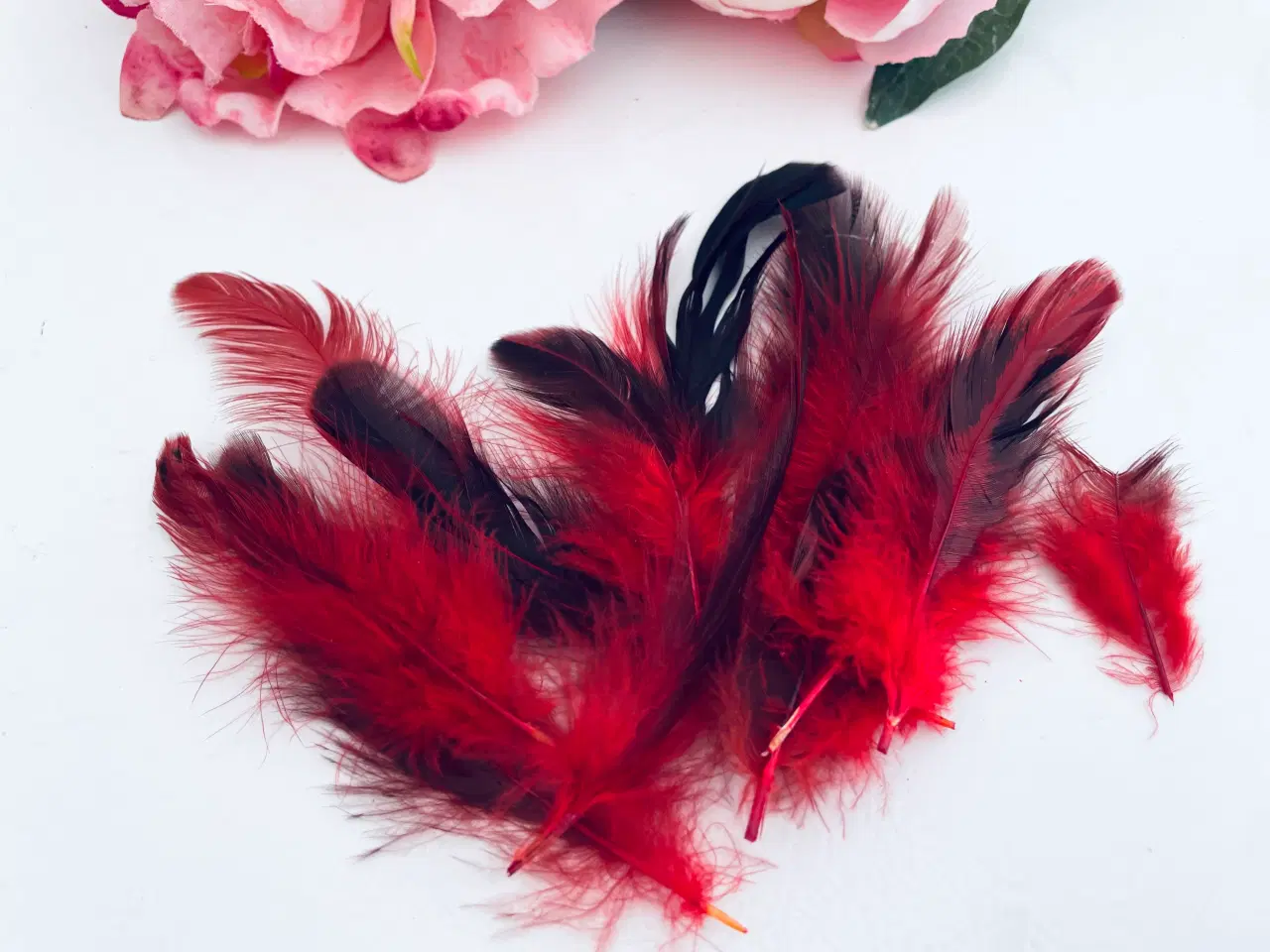 Billede 1 - Fjer i røde og mørke nuancer 