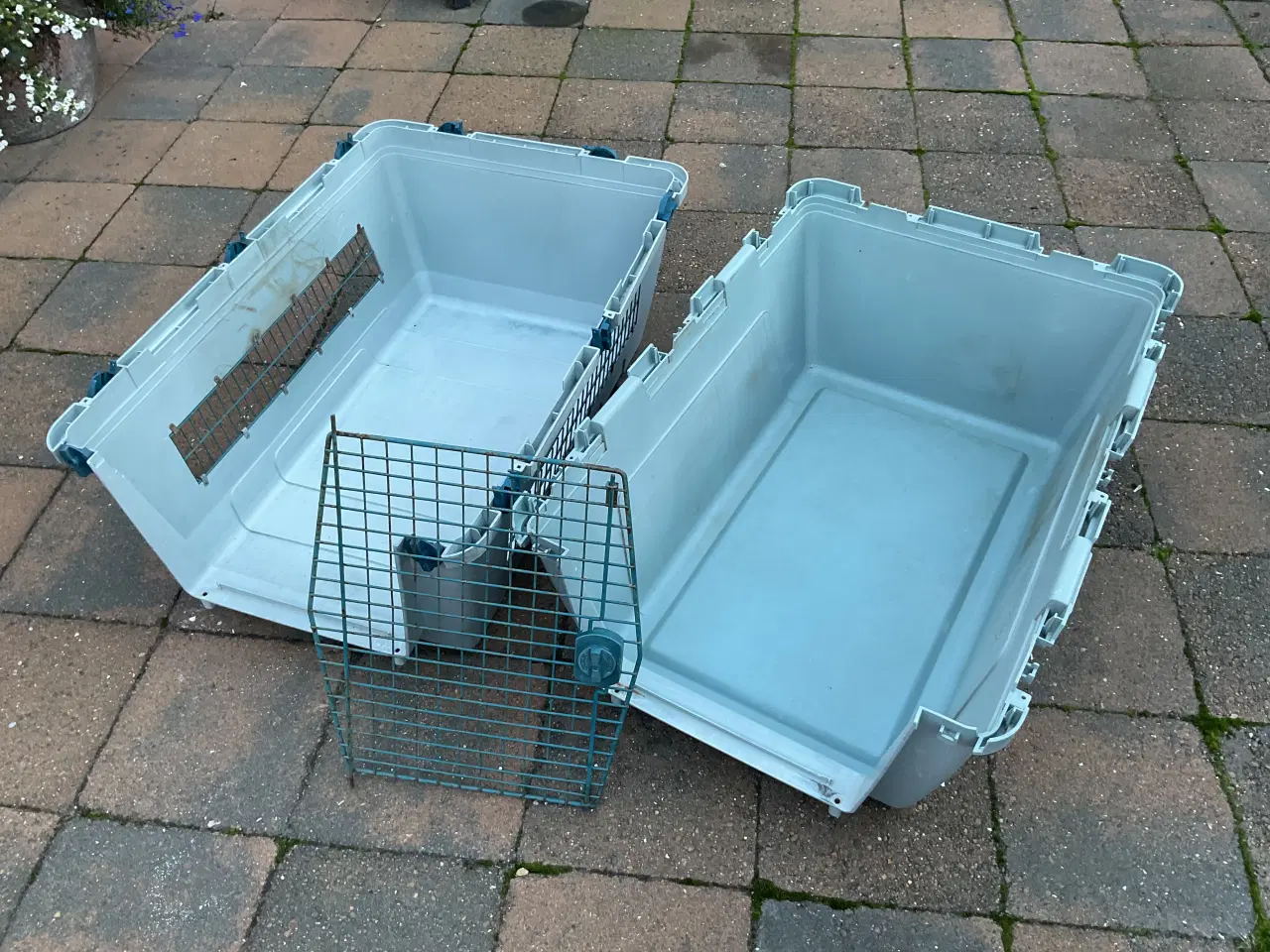 Billede 4 - Transportkasser Ferplast Atlas 70 grå plast