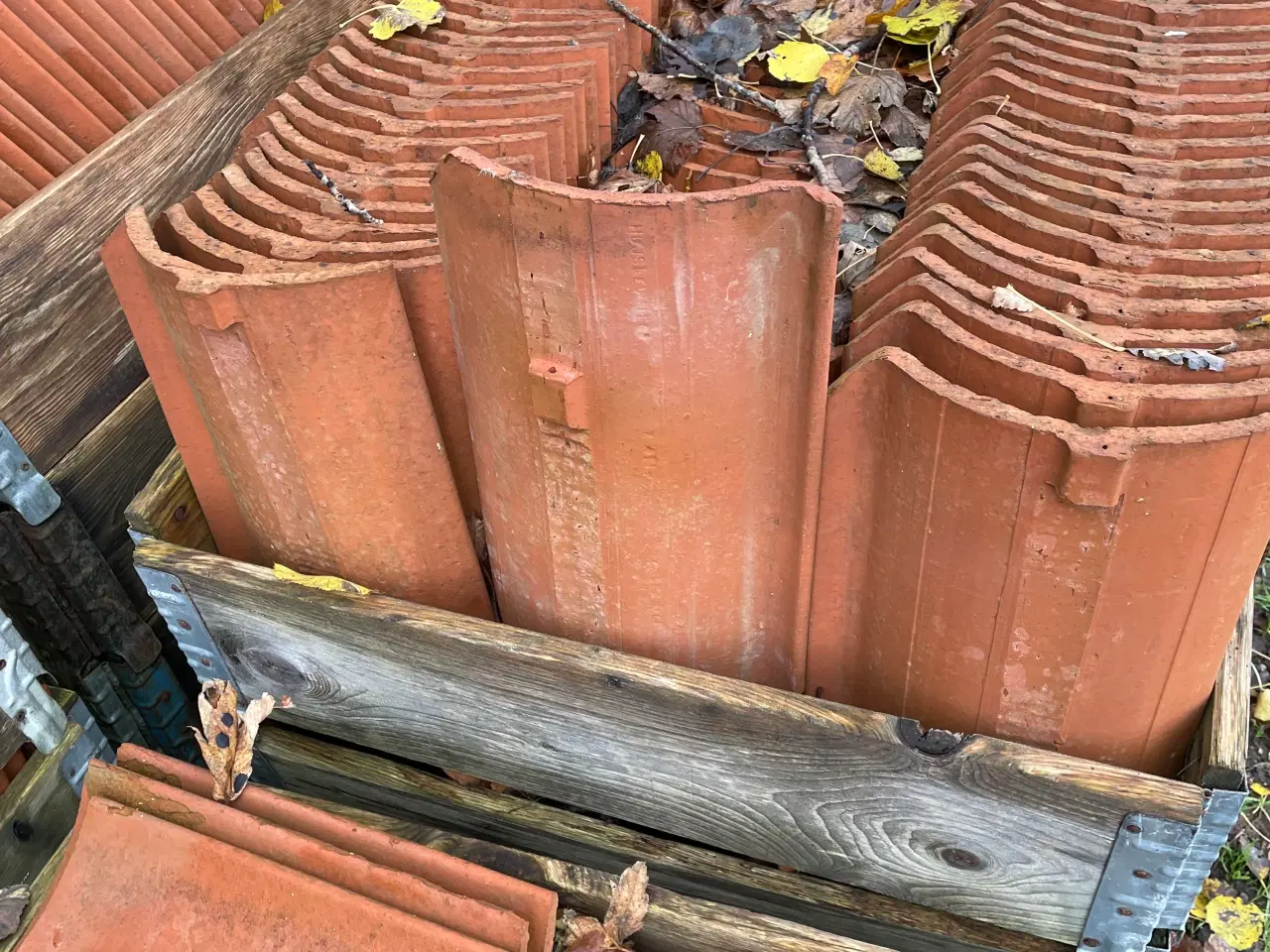 Billede 1 - Dansk vengetegl 