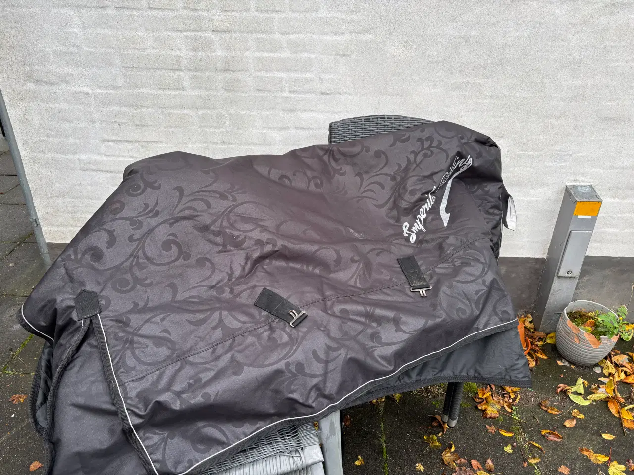 Billede 1 - Imperial Riding - 300g str. 135