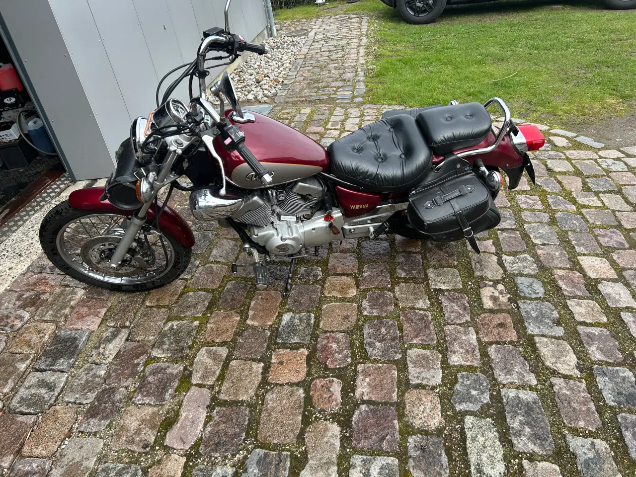 Billede 8 - Yamaha XV 250 S Virago 1995  nysynet