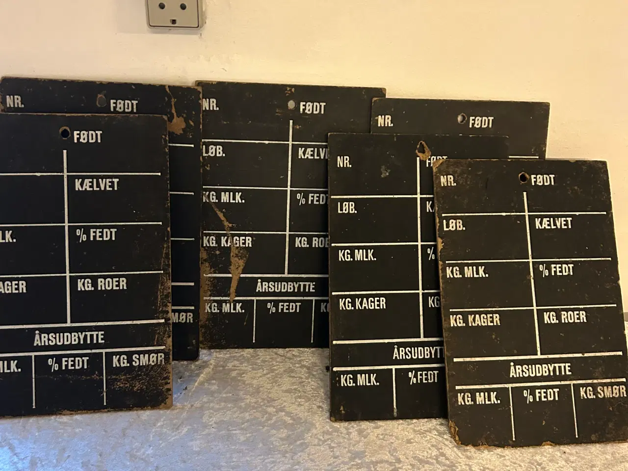 Billede 1 - 6 Kotavler