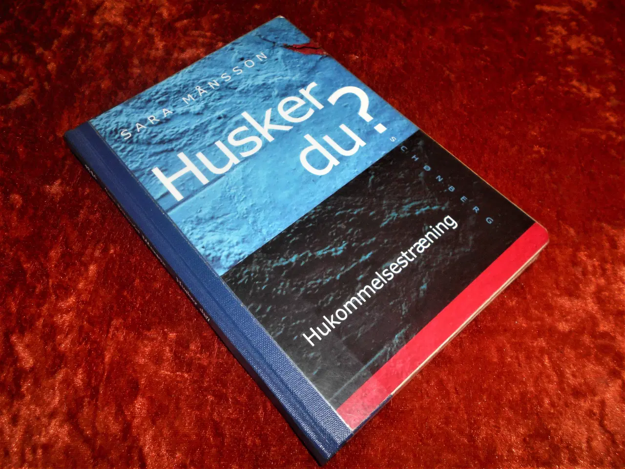 Billede 1 - Husker du?, Sara Bergqvist Månsson