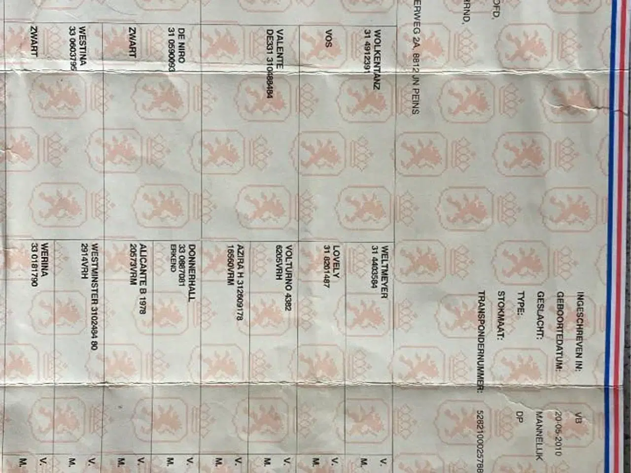 Billede 5 - Super flink vallak