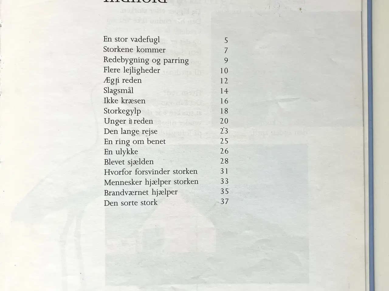 Billede 3 - Storken - en sjælden fugl i Danmark. Af Poul Kr. J