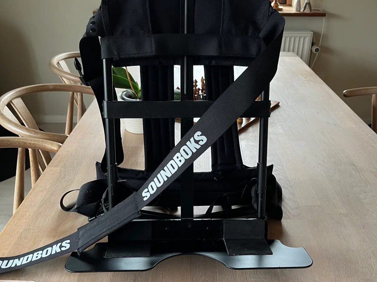 Billede 1 - SOUNDBOKS backpack sælges