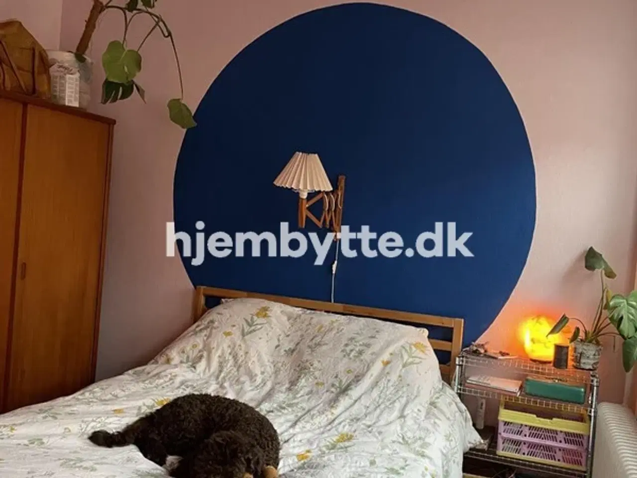 Billede 4 - Hjembytte - Nygade