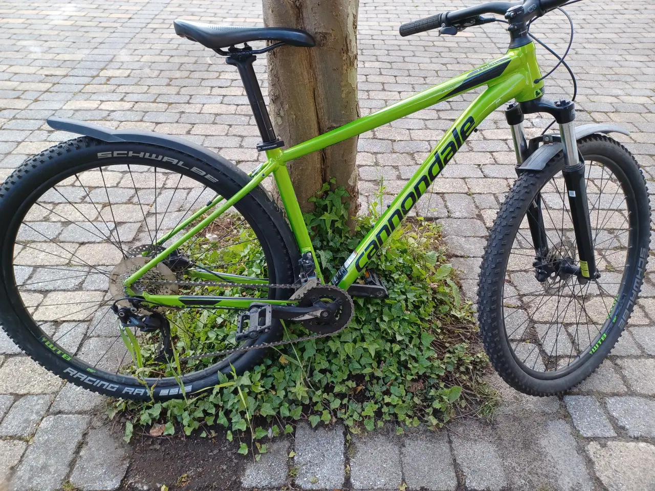 Billede 6 - Cannondale mountainbike