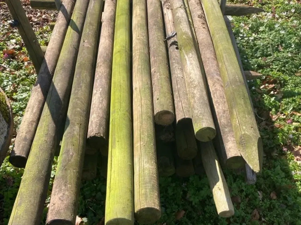 Billede 1 - Hegnspæle