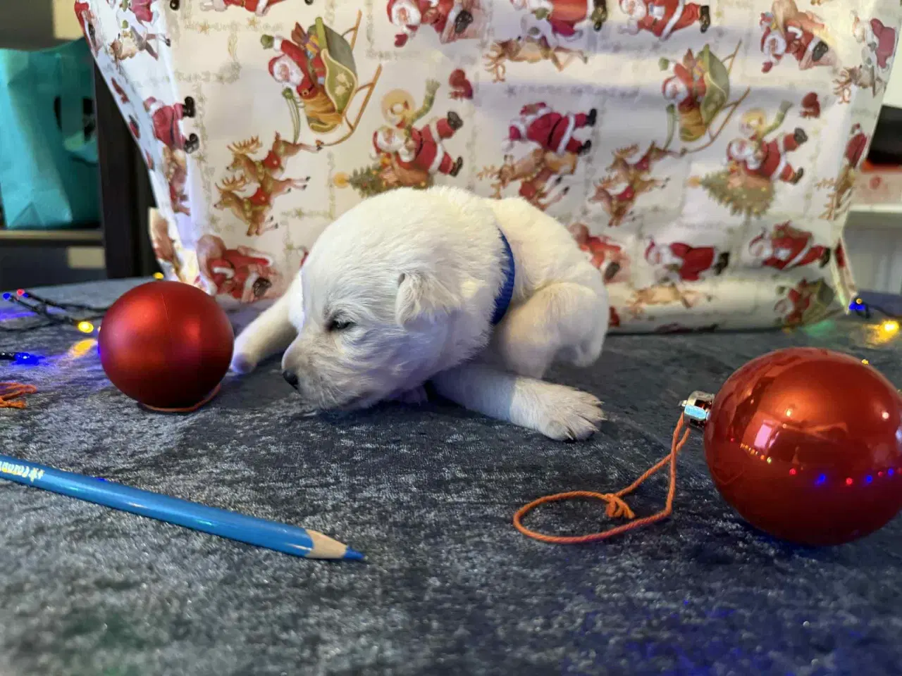 Billede 2 - Skal i have en blød julegave så kig her