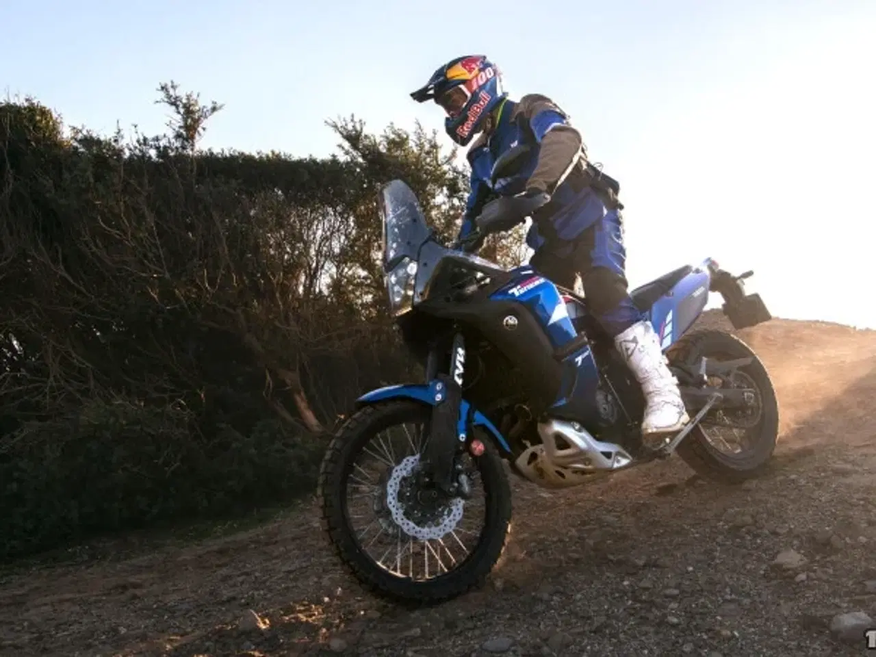 Billede 13 - Yamaha Ténéré 700 World Rally