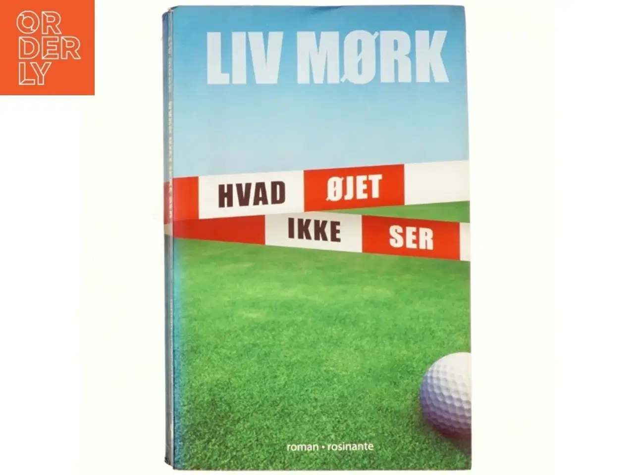 Billede 1 - Hvad øjet ikke ser : en kriminalroman af Liv Mørk (Bog)