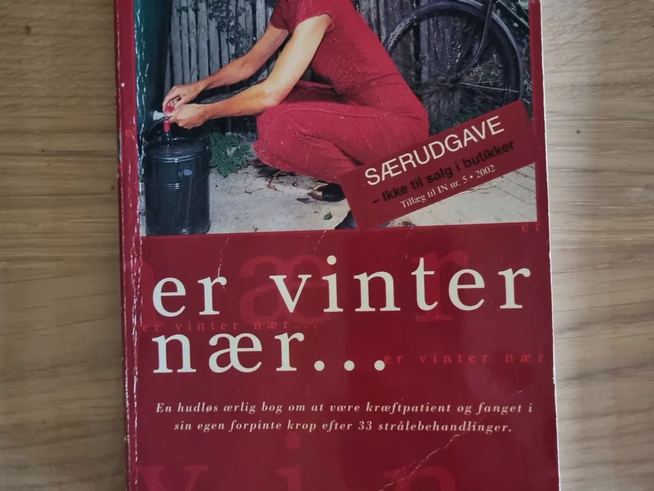 Billede 1 - Er vinter nær