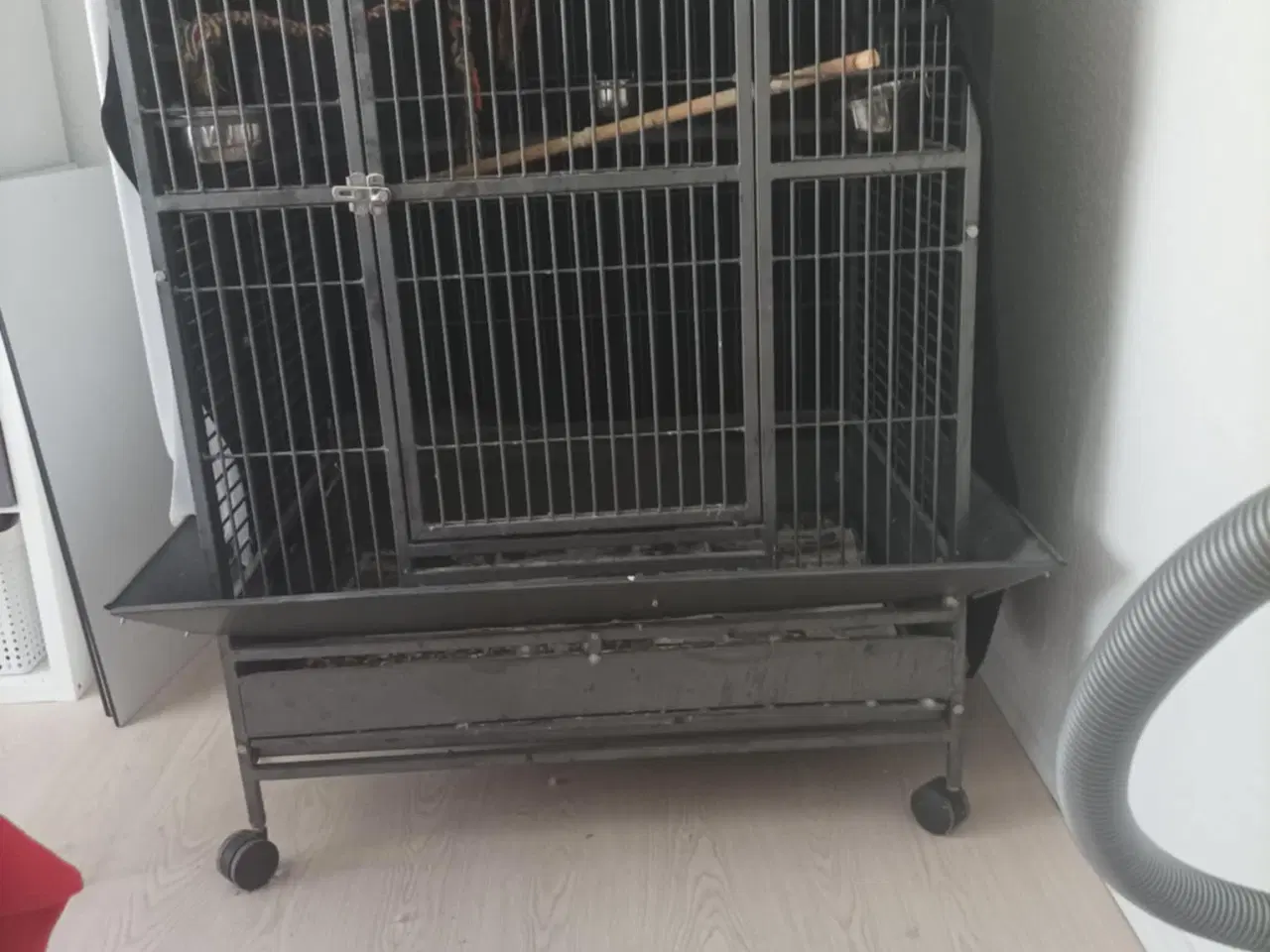 Billede 2 - papegøje / fugle bur