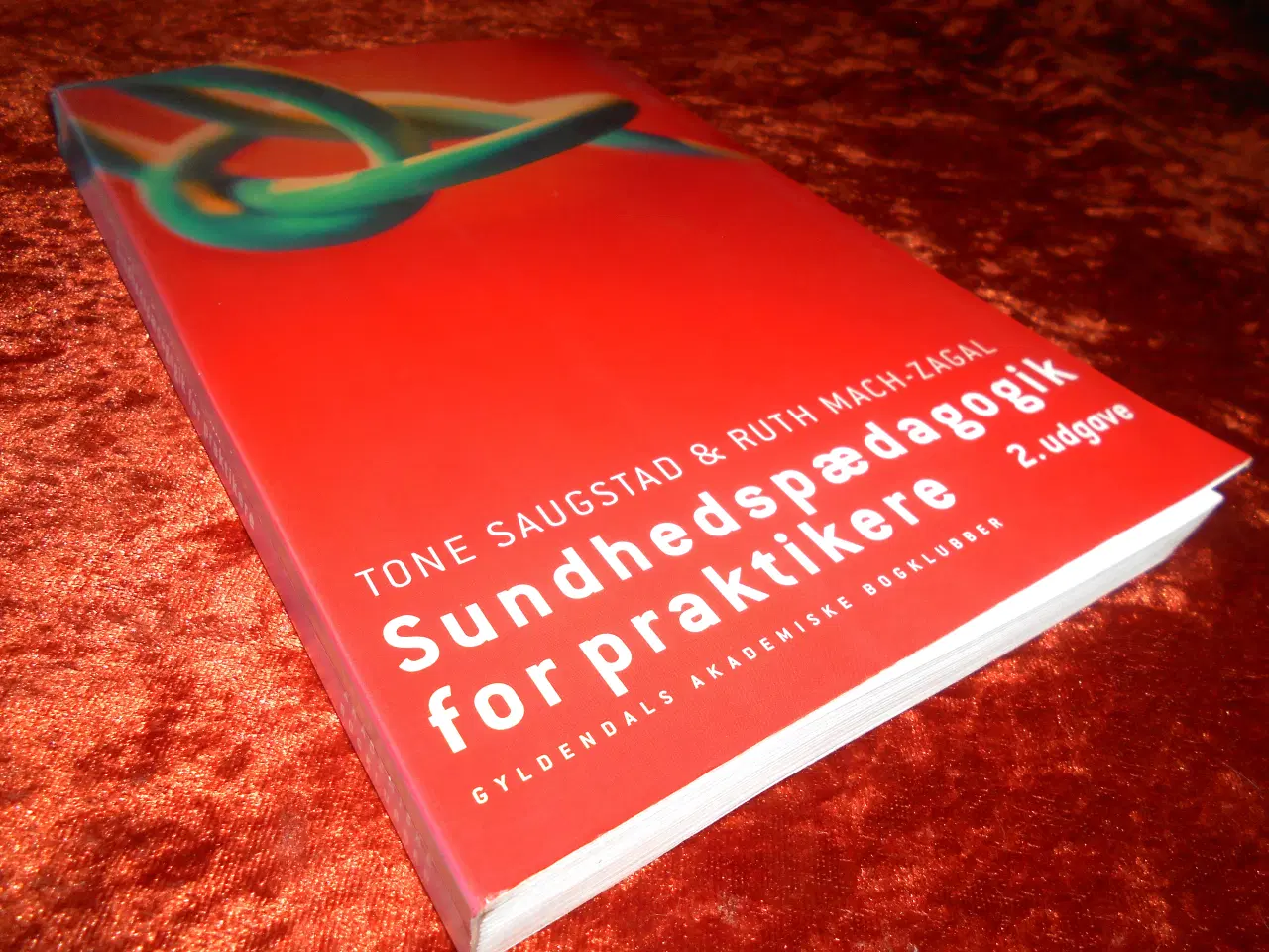 Billede 1 - Sundhedspædagogik for praktikere,  Ruth Mach-Zagal