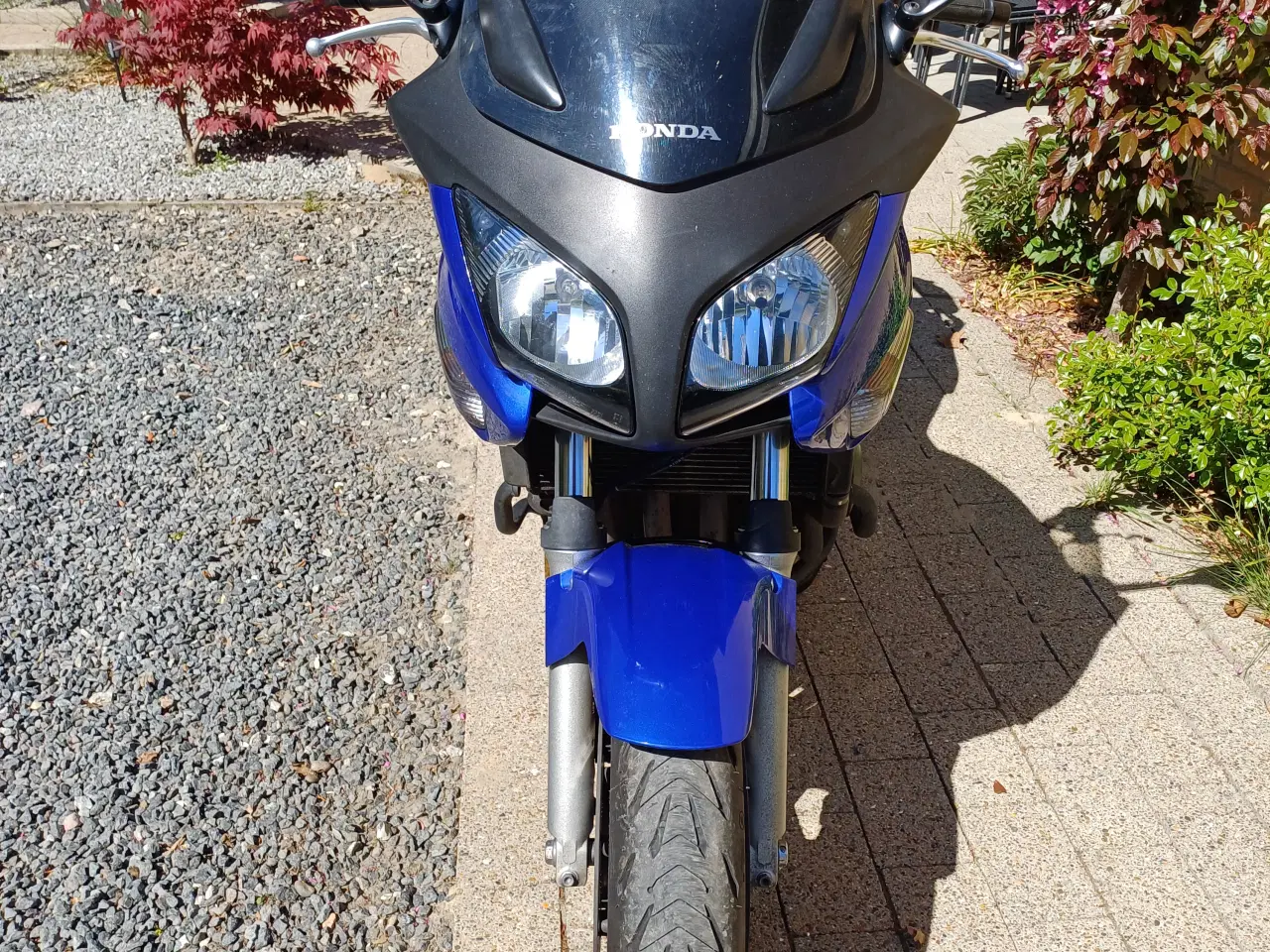 Billede 3 - Honda Cbf600sa 