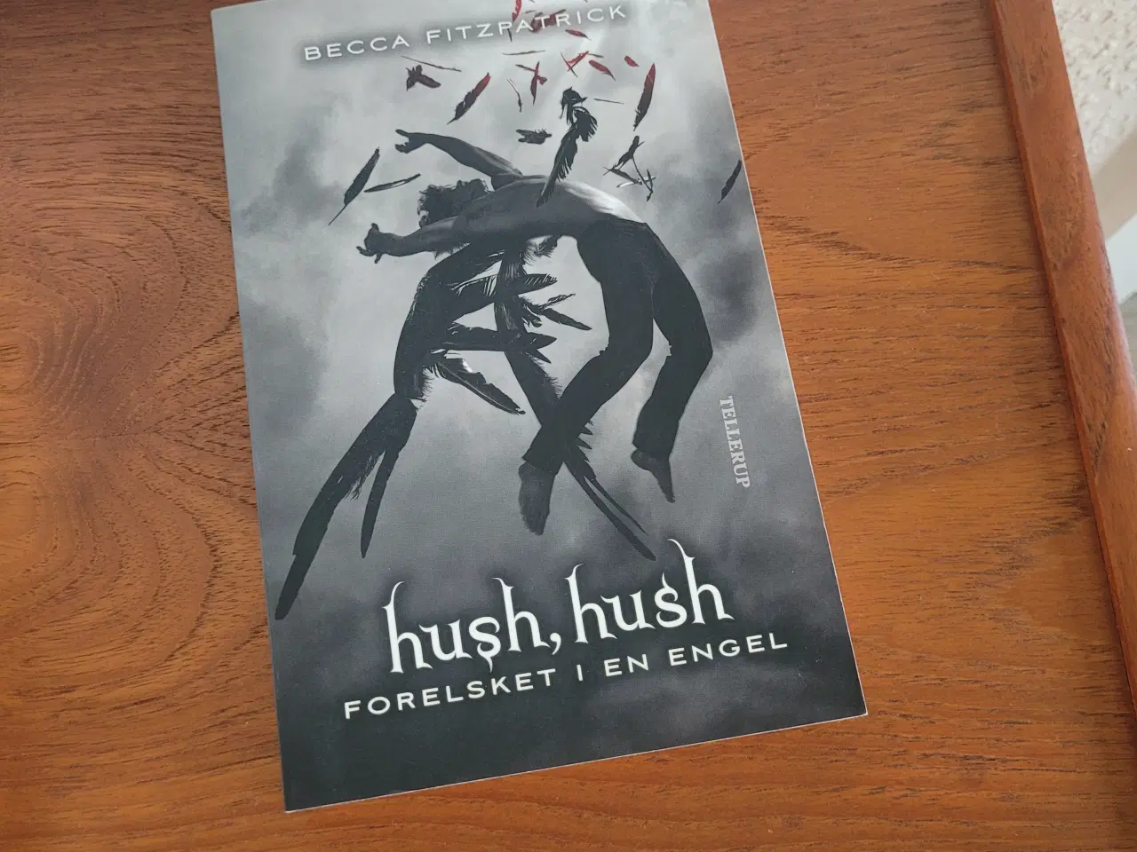Billede 2 - Bogserie: Hush Hush nr. 1-4