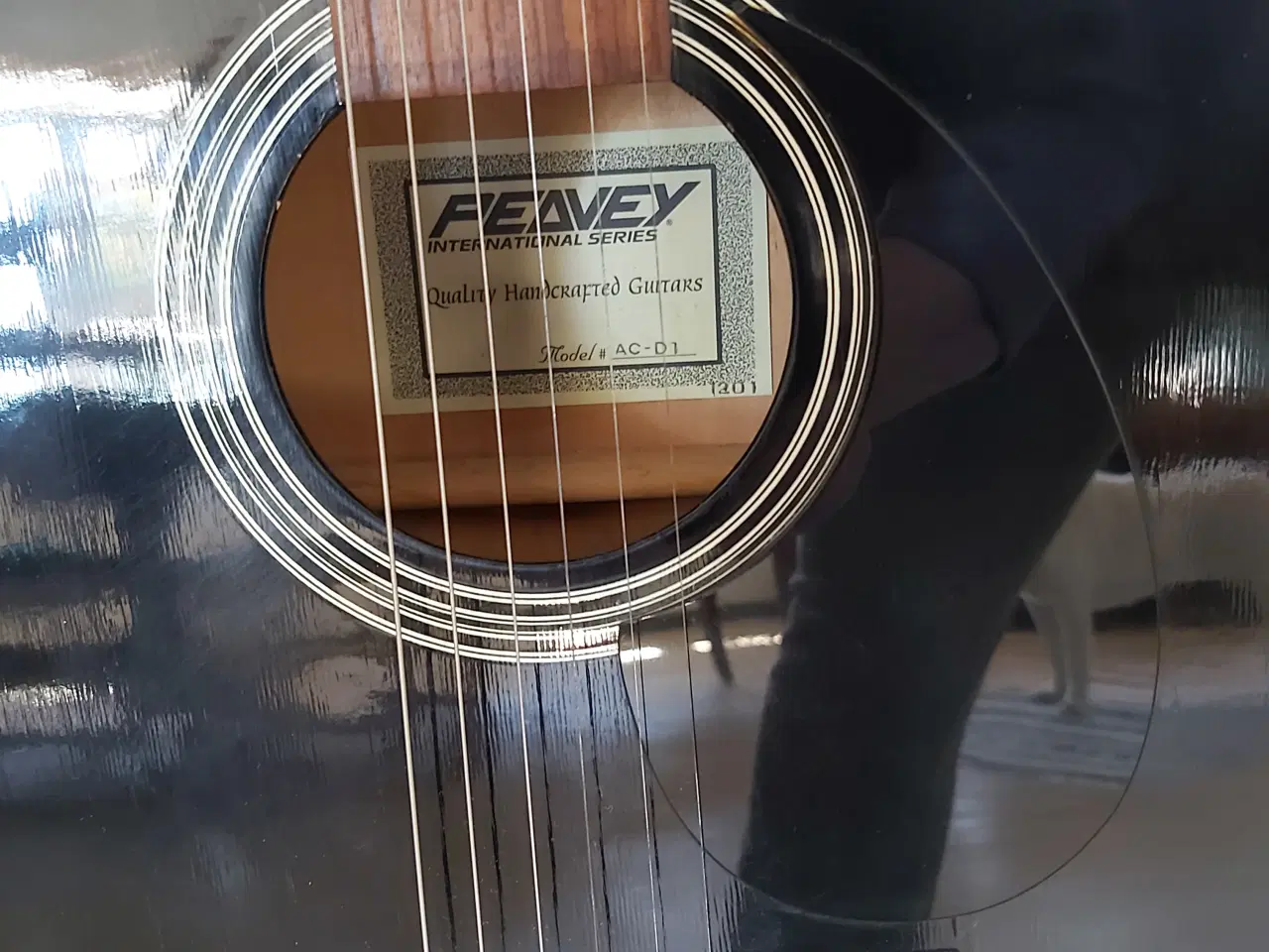 Billede 3 - Peavey western guitar