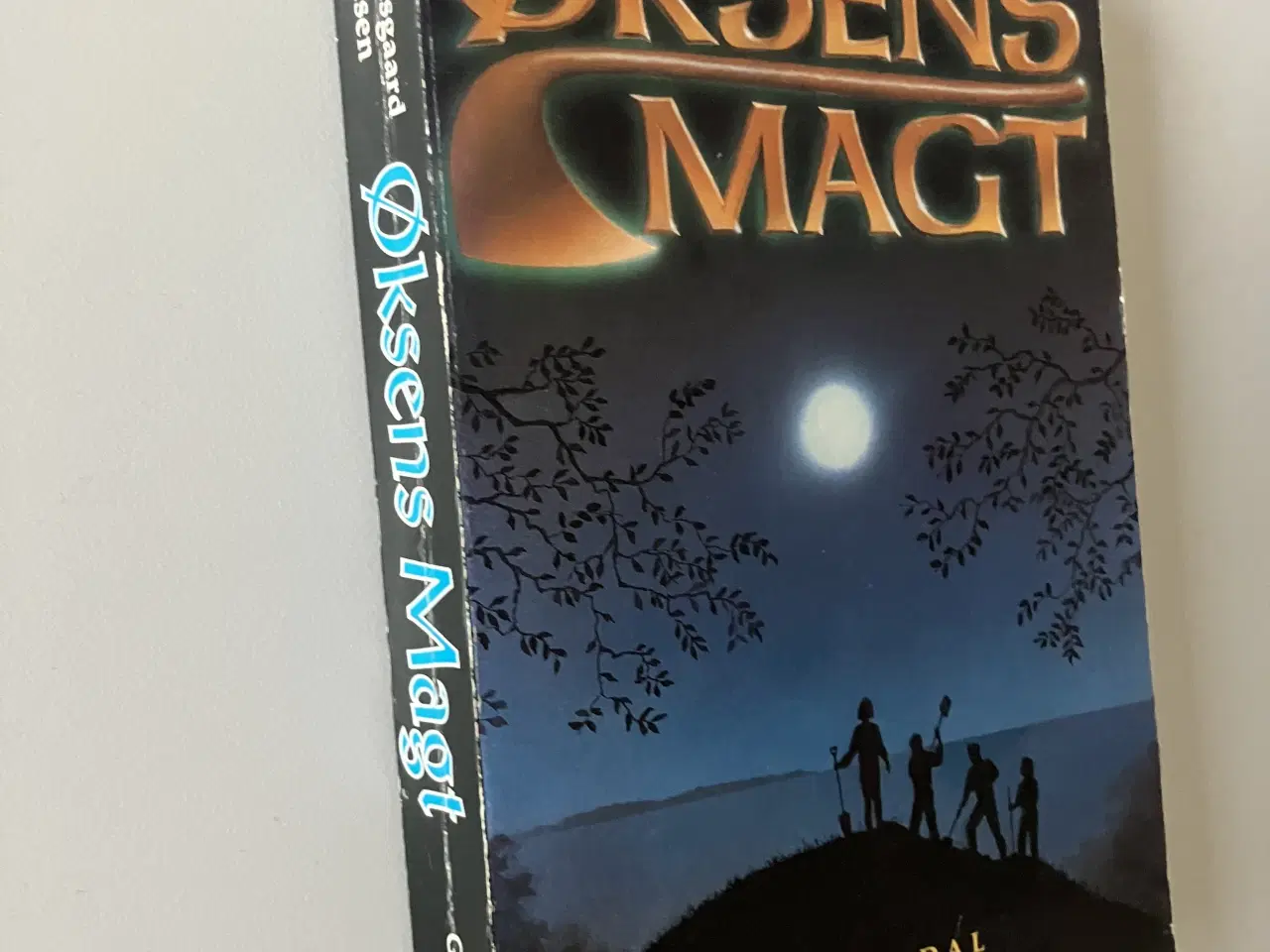 Billede 1 - Øksens magt. Af Bjarne Dalsgaard Svendsen