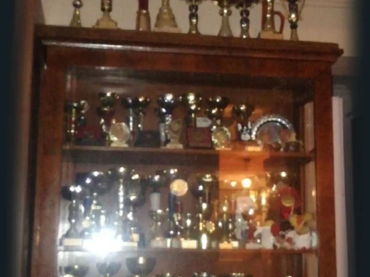 Billede 14 - Fransk Velvet bulldog. NEDSAT!