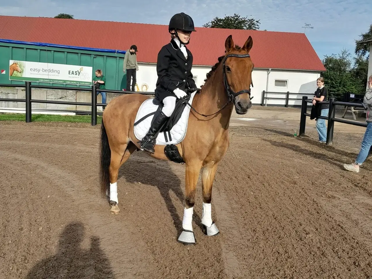 Billede 2 - Sød 3 er pony 