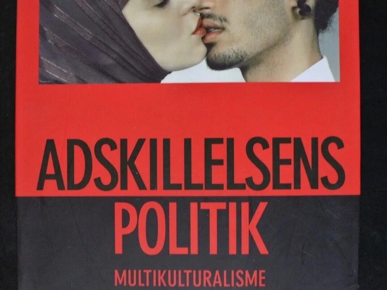 Billede 1 - adskillelsens politik - multikulturalismer - ideol