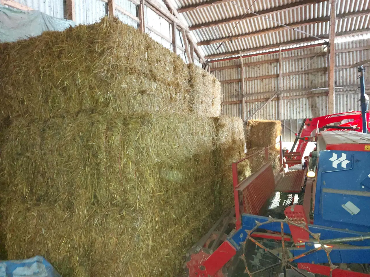 Billede 2 - Halm - økologisk - 20 stk minibig