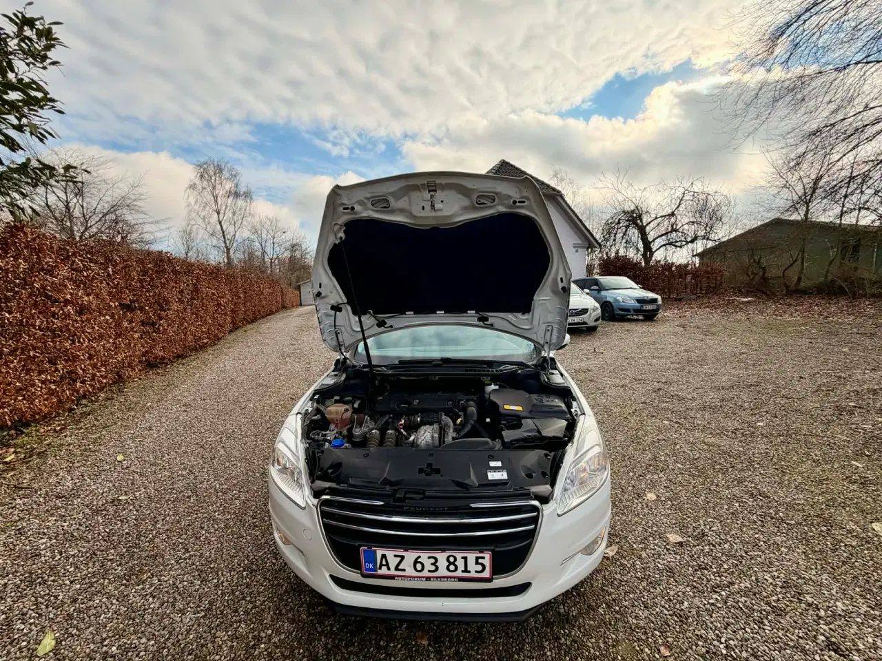 Billede 5 - Nysynet 11,3,2026 Rustfri