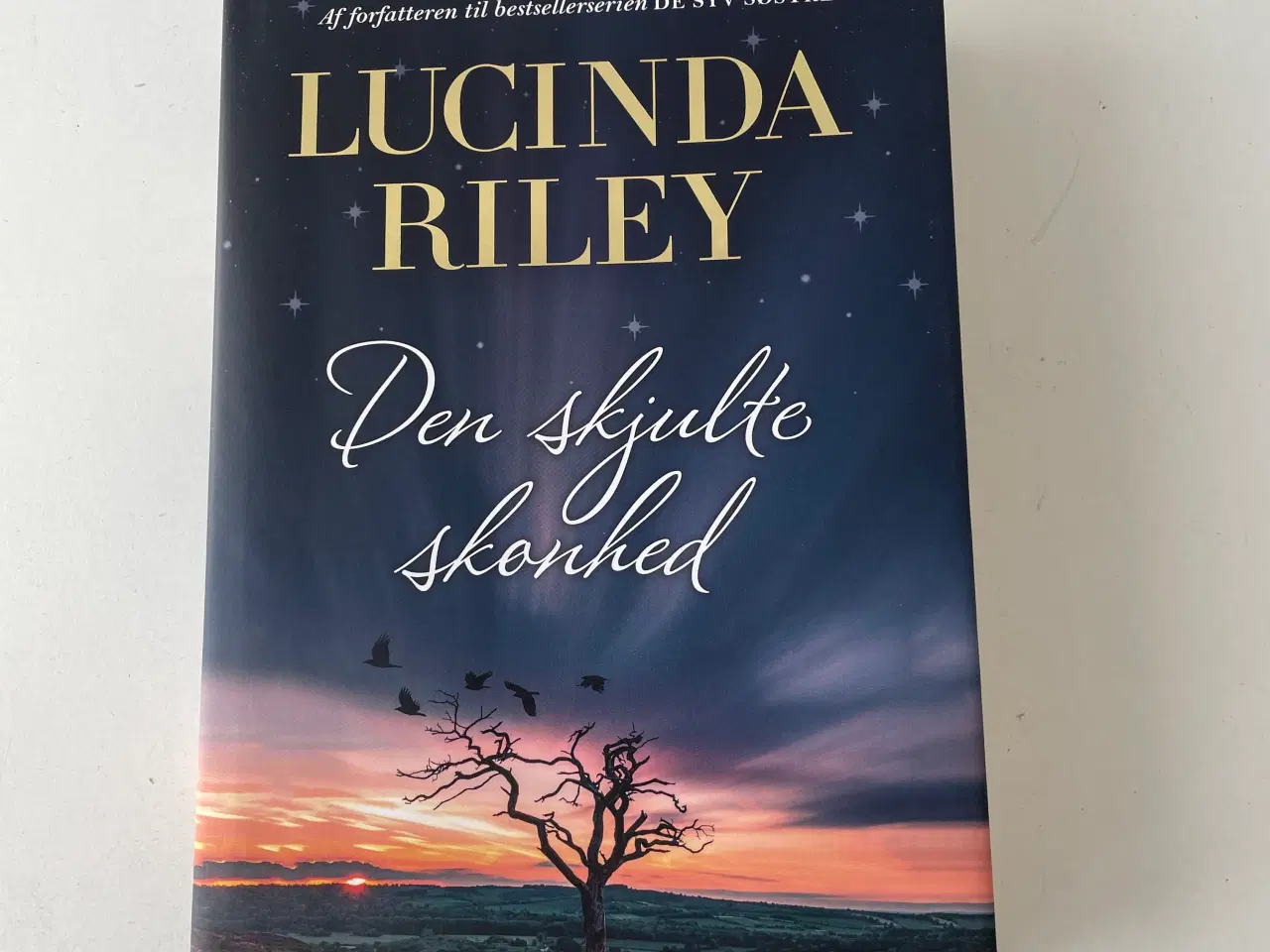 Billede 1 - Den skjulte skønhed, Lucinda Riley 