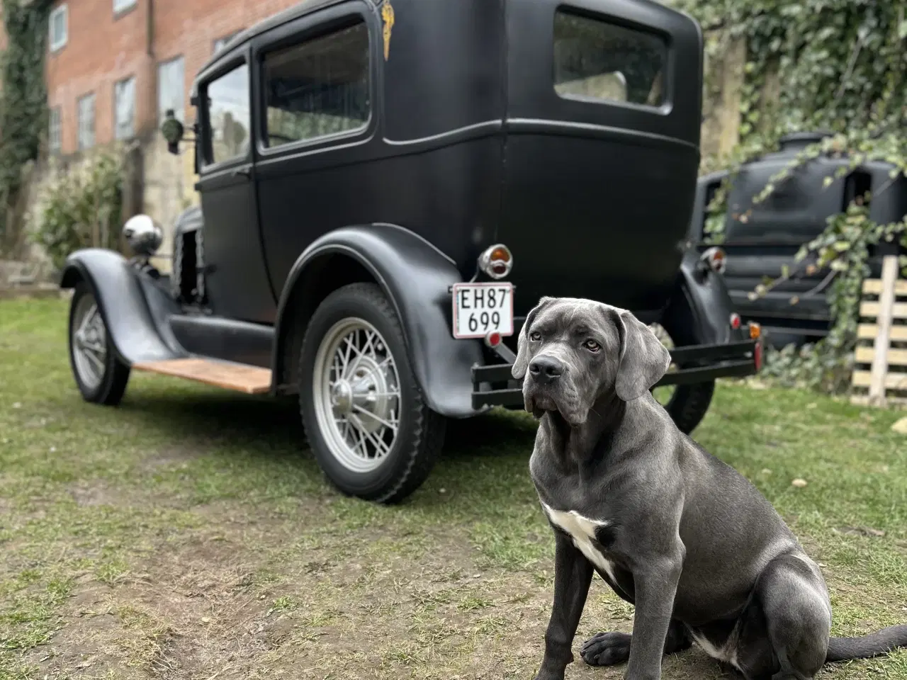 Billede 5 - Ford A streetrod 