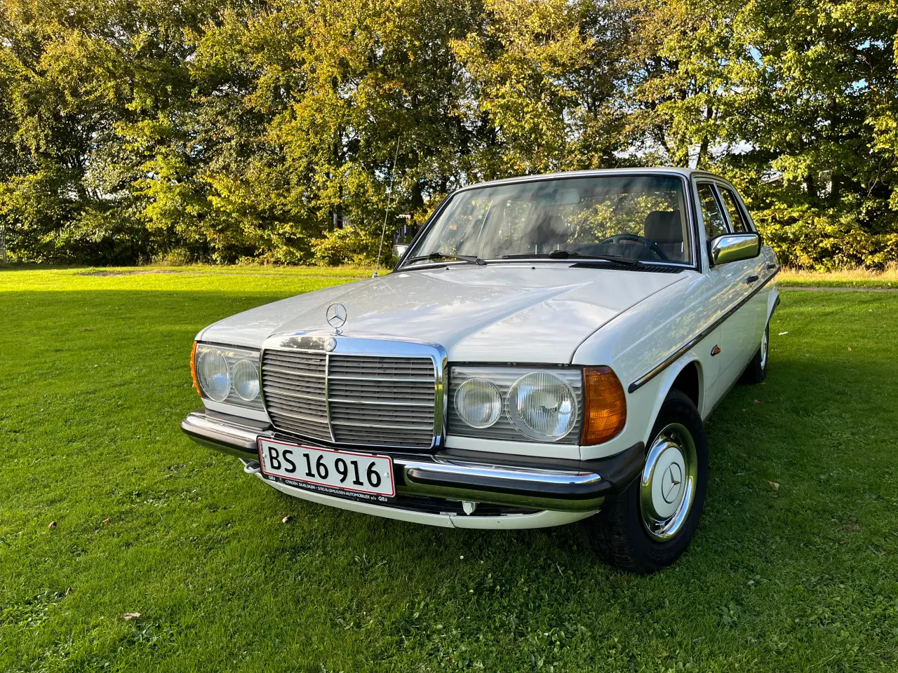 Billede 8 - Mercedes 300D  w123 1982 