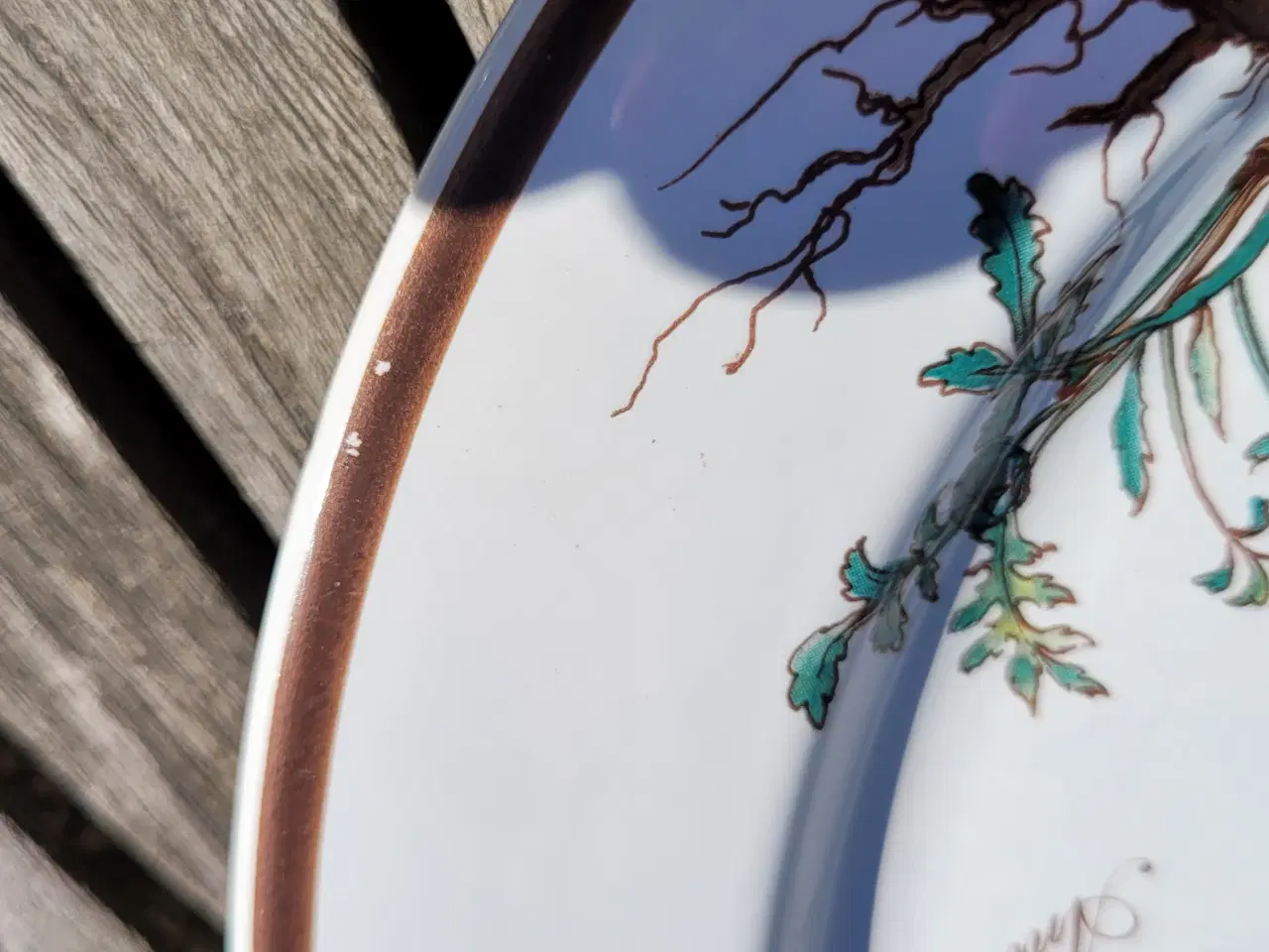 Billede 3 - Villeroy&Boch Botanica middagstallerkener