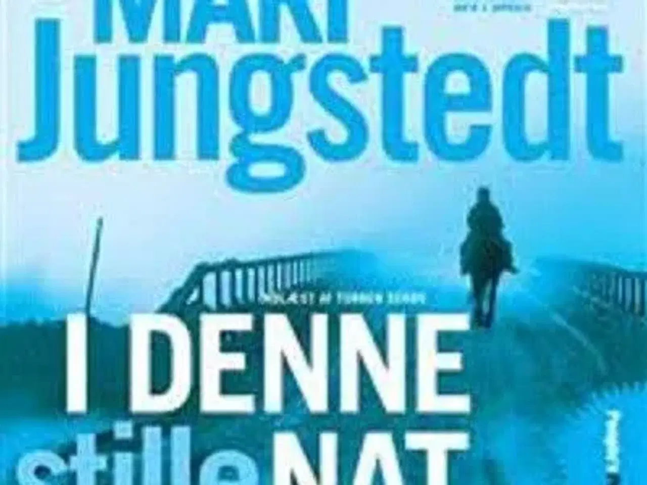 Billede 1 - Lydbog "I denne stille nat" af Mari Jungstedt