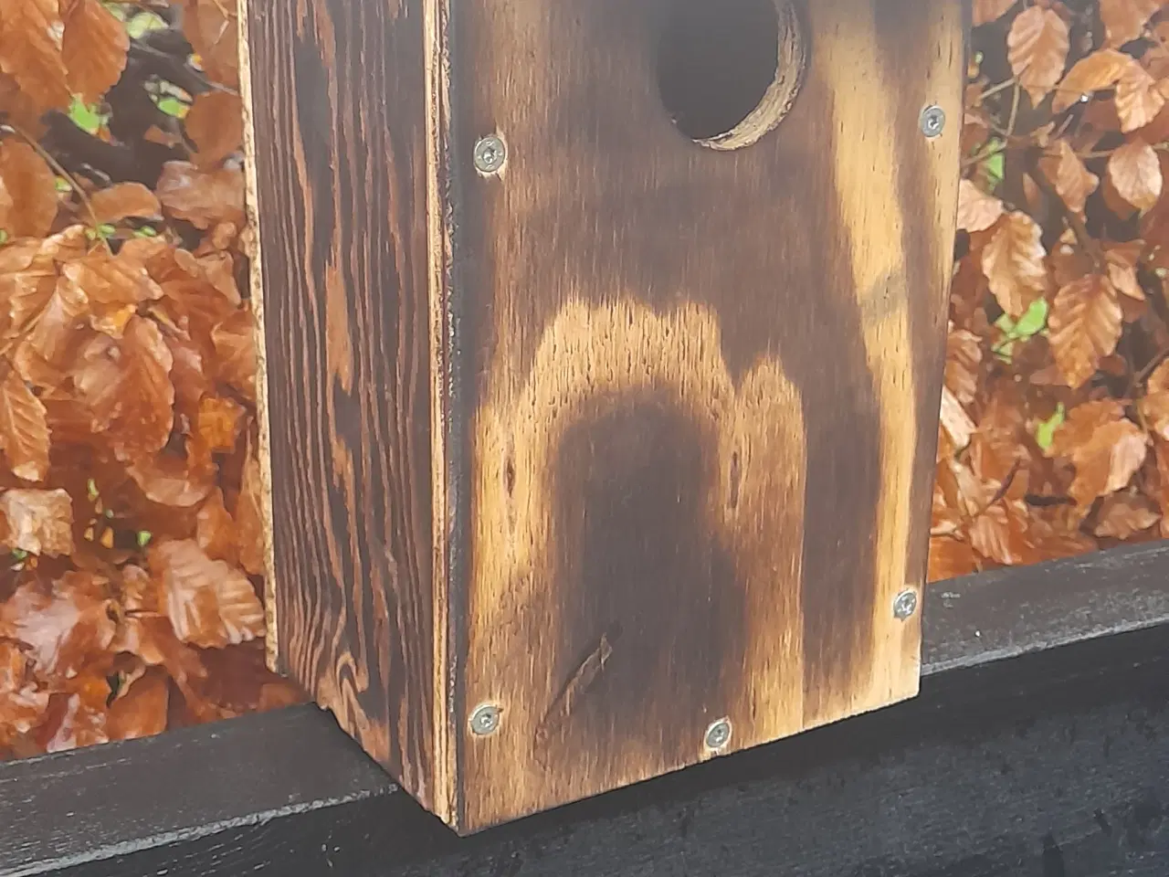 Billede 3 - Forår : det er tid at hænge redekasser op .