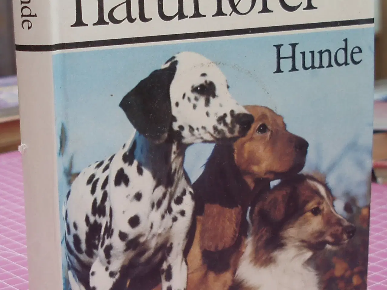 Billede 1 - Lademanns naturfører; Hunde