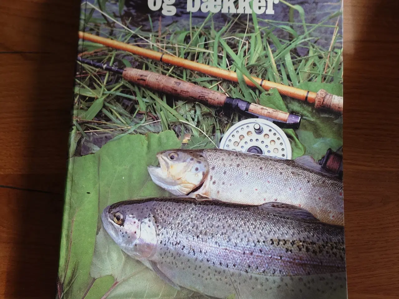 Billede 2 - Regnbue og bækker – Ørredfiskeri i å og sø