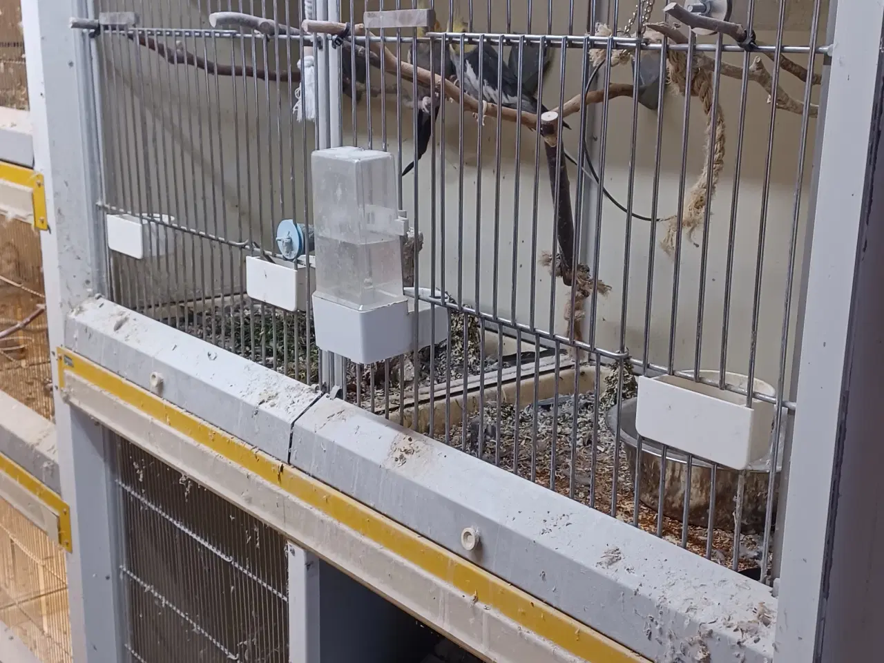 Billede 2 - Stopper med at have fugle