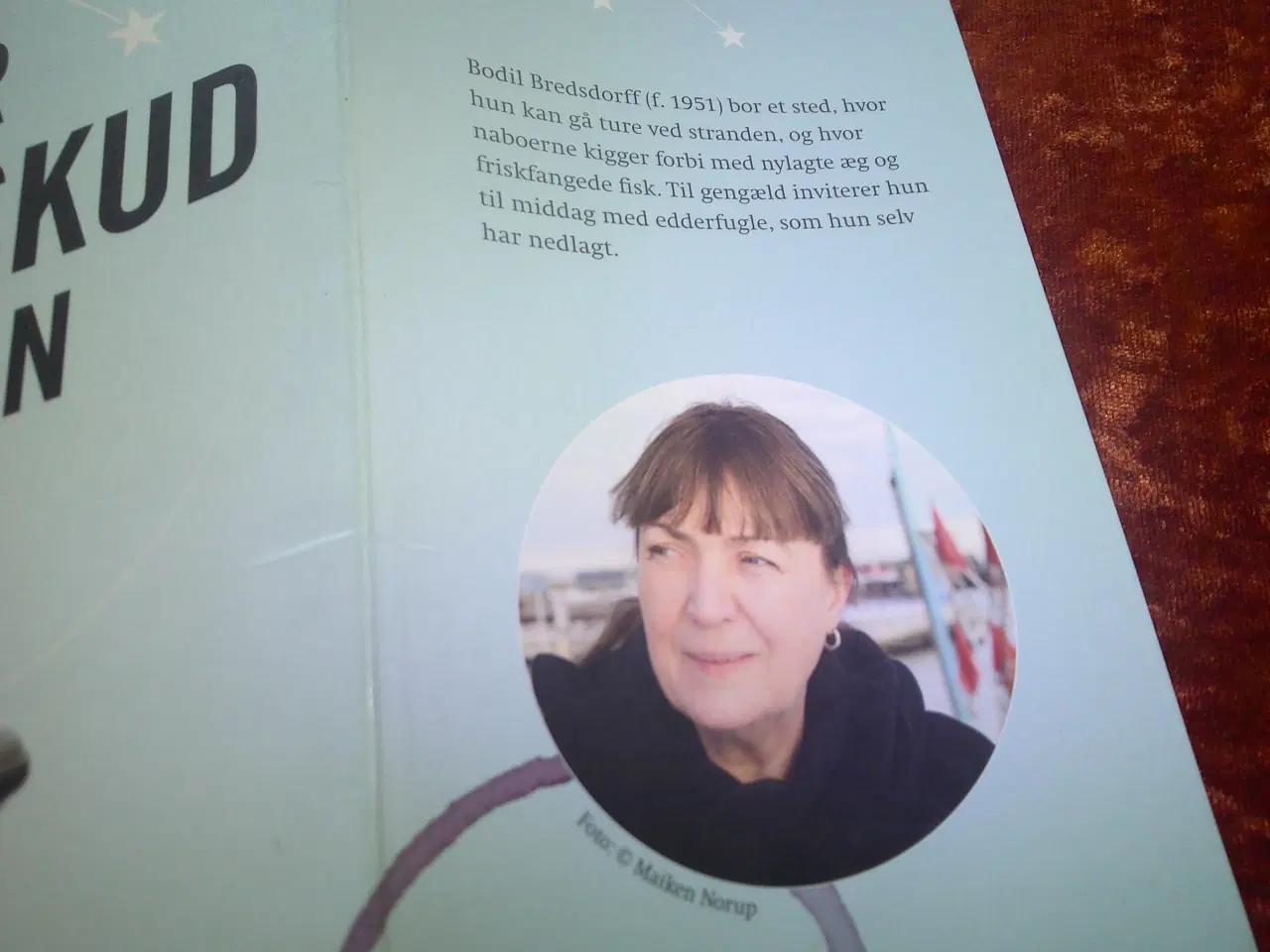 Billede 2 - Der er stjerneskud om dagen, Bodil Bredsdorff,