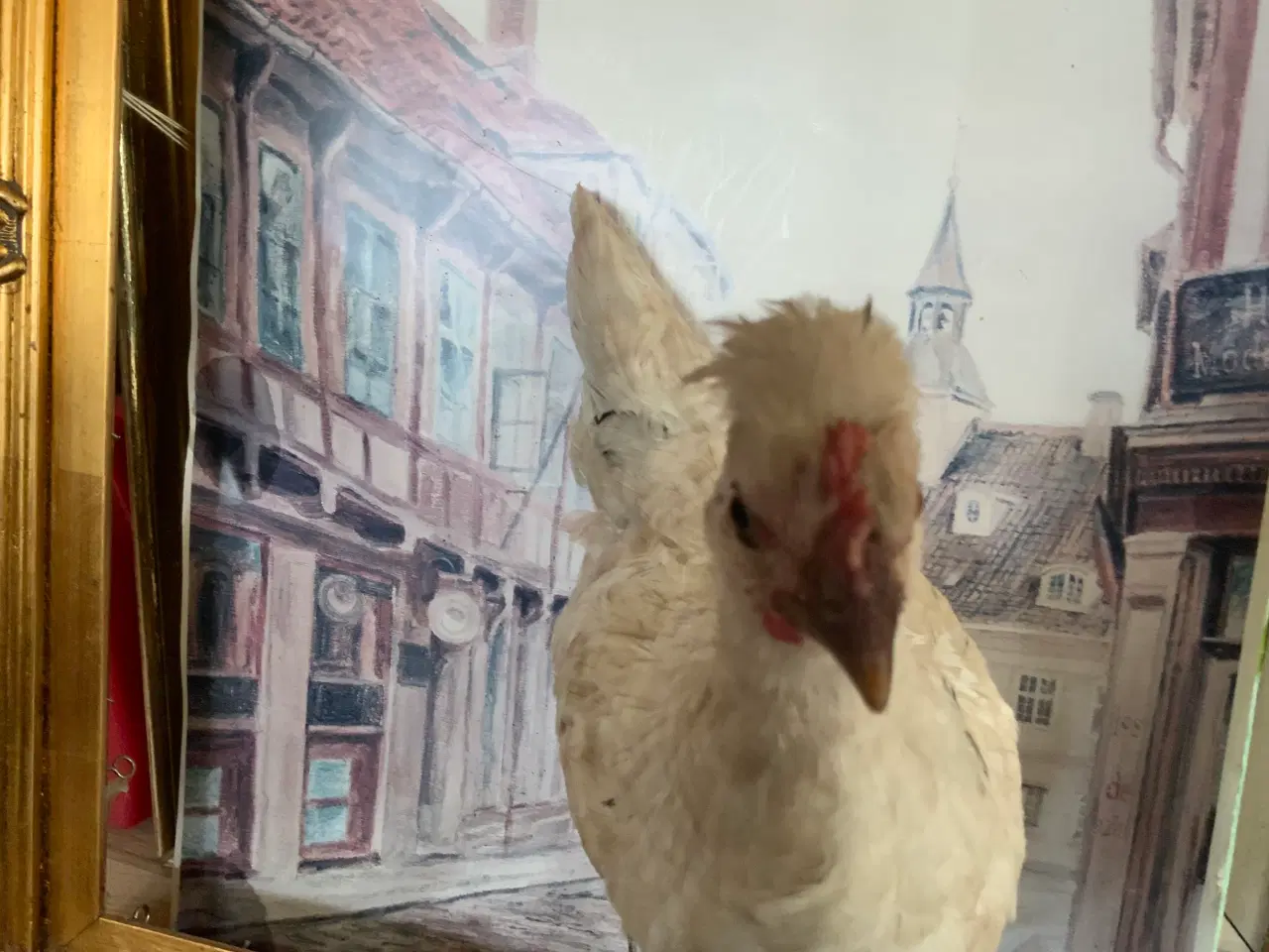 Billede 3 -  Niels Ebbesen på fremmarch som blandings hane
