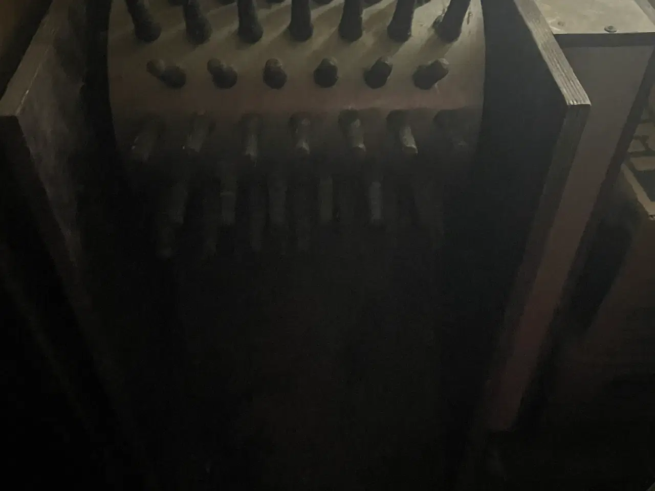 Billede 1 - Fugle plukker