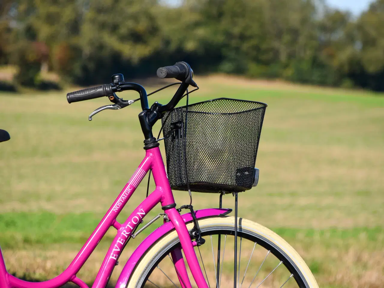 Billede 3 - Everton Nostalgic 7G 47CM