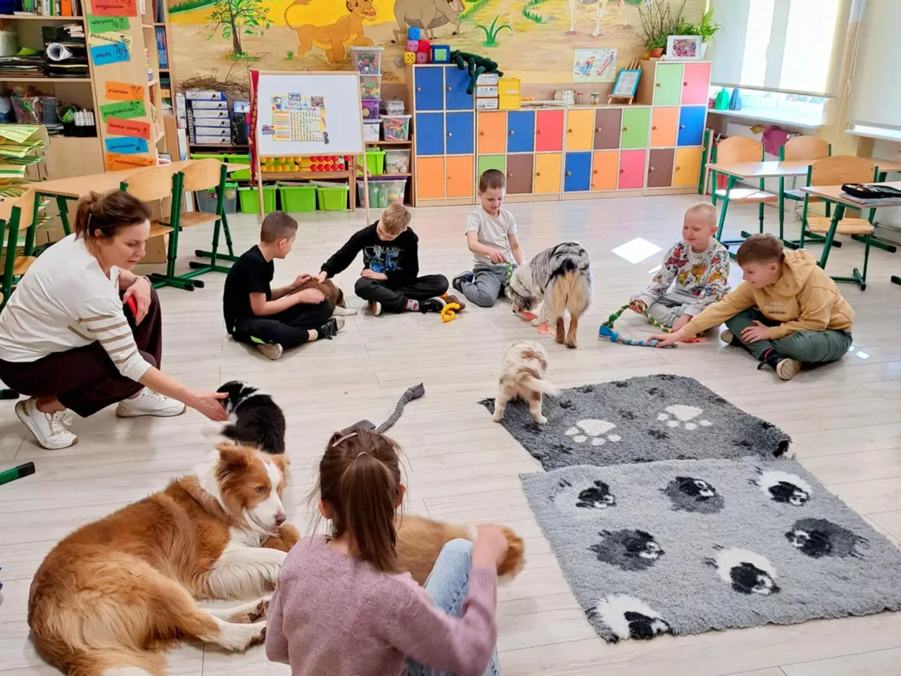 Billede 10 - Hvalpe  stamtavle FC-I Border Collie ADHD, Agility