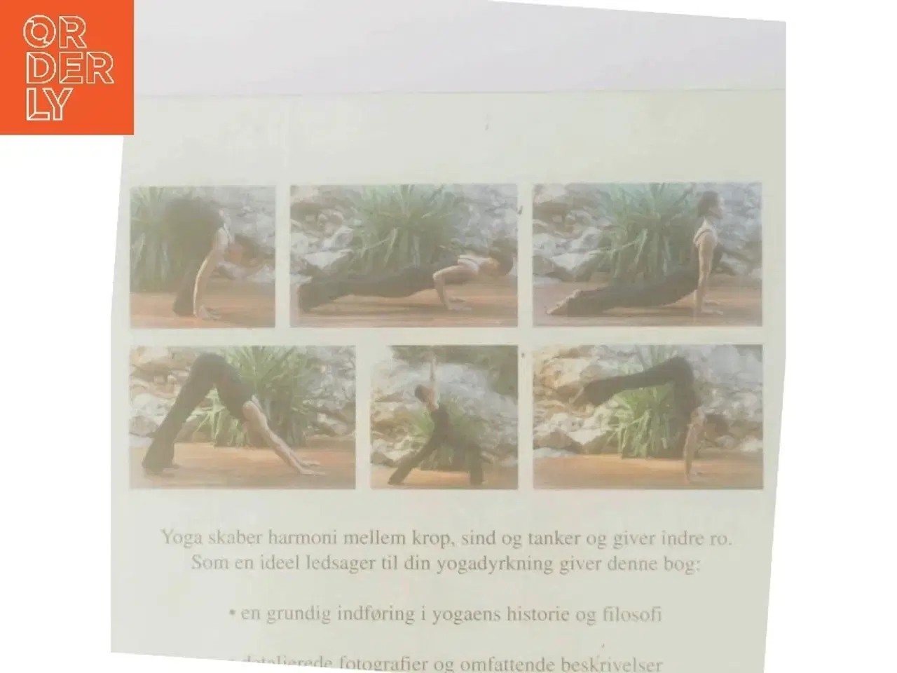 Billede 3 - YOGA - Teori og praksis for begyndere og øvede af Inge Schjott (Bog)