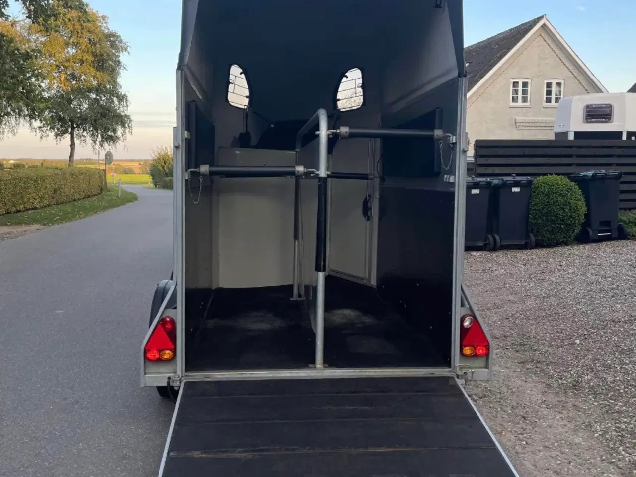 Billede 3 - Cheval liberte gold one - Baldur 